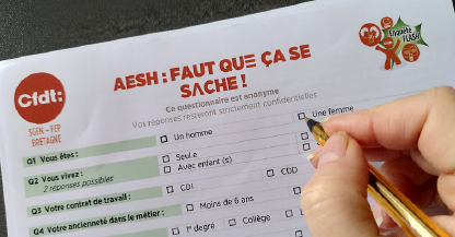 aesh_enquete.PNG