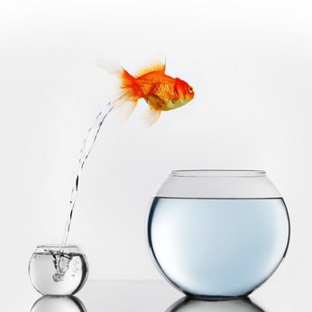 fotolia_81283179_xs.jpg