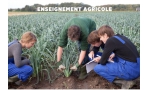 agri.jpeg