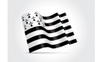 fotolia_55929646_xs.jpg