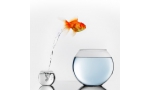 fotolia_81283179_xs.jpg